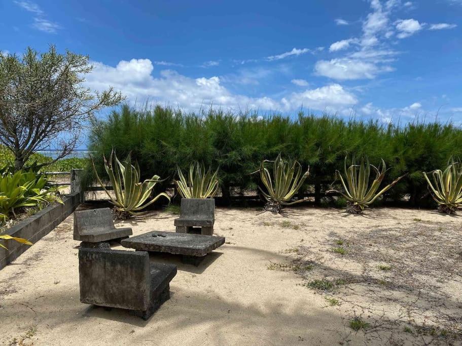 Villa Coco Des Sables Acces Direct Au Lagon لا سالين لو باين المظهر الخارجي الصورة